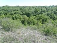 Айдар-Миколаївка з panoramio.com