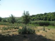 Львів з panoramio.com