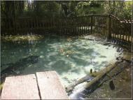 Ушівка з panoramio.com