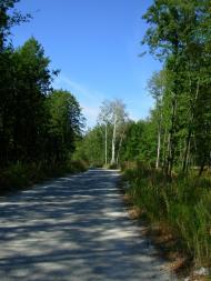 Кукулівка з panoramio.com