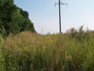 Кустівці з panoramio.com