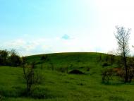 Шимшинівка з panoramio.com