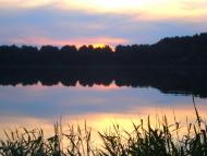 Топільне з panoramio.com