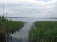 Ковалин з panoramio.com