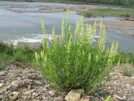 Завалля з panoramio.com