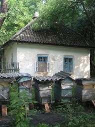 Белаши - Последние фото