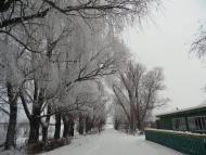 Камка з panoramio.com