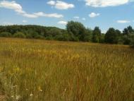 Літочки з panoramio.com