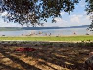 Каштанівка з panoramio.com