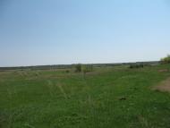 Аркадівка з panoramio.com