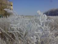 Петрівське з panoramio.com