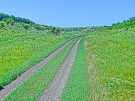 Оліївка з panoramio.com