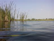 Липівка з panoramio.com