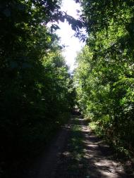 Косяківка з panoramio.com