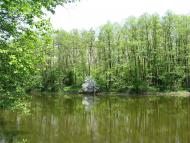 Стрижавка з panoramio.com