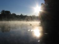 Сокільники з panoramio.com