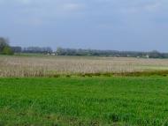 Белаши - Последние фото