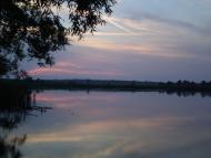 Грибенинка з panoramio.com