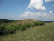 Плодове з panoramio.com