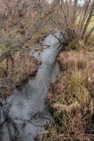 Хочева з panoramio.com