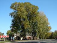 Авдіївка з panoramio.com