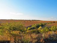 Андріївка з panoramio.com