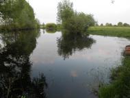 Камка - Останні фото