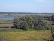 Більче з panoramio.com