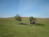 Бабинці з panoramio.com