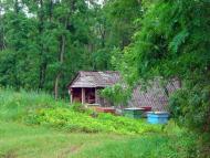 Думанці з panoramio.com