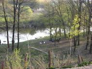 Понінка з panoramio.com