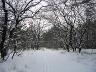 Підлісне з panoramio.com - Pidlisne