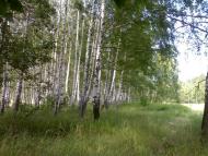 Ватутіне з panoramio.com