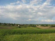 Петрашівка