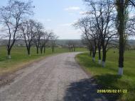 Старовишневецьке з panoramio.com