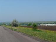 Новокатеринівка з panoramio.com