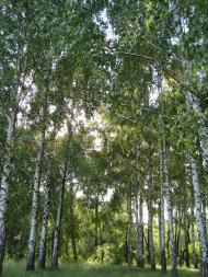 Павлівщина - Останні фото