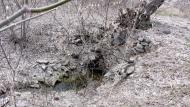 Новокатеринівка з panoramio.com