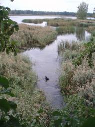 Ковалин з panoramio.com