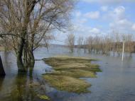 Деменці з panoramio.com