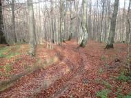 Верхнє Гусине з panoramio.com