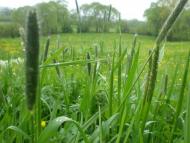 Креховичі з panoramio.com