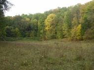 Рибальське з panoramio.com