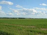 Рудка з panoramio.com