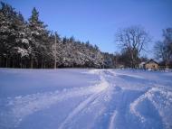 Перекопівка з panoramio.com - Perekopivka