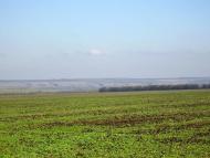 Весняне з panoramio.com