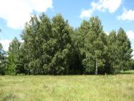 Осіч з panoramio.com