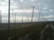 Ражнів з panoramio.com