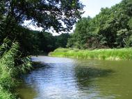 Підлісне з panoramio.com - Pidlisne