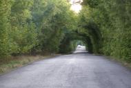 Малишівка з panoramio.com